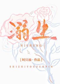 ����С˵:����