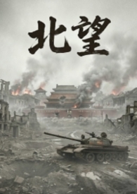 ����С˵:����