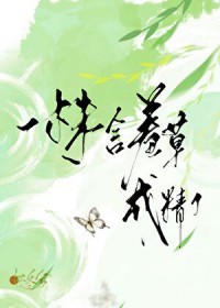 ����С˵:һ�꺬�߲ݳɾ���