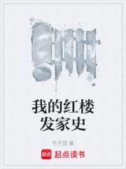 ����С˵:�ҵĺ�¥����ʷ