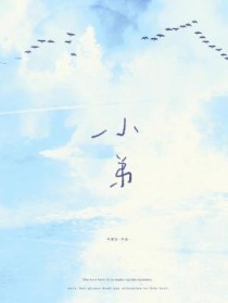 ����С˵:С��