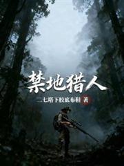 ����С˵:��������