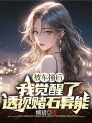 ����С˵:����ײ���Ҿ�����͸�Ӷ�ʯ����