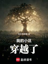 ����С˵:�ҵ�С����Խ��