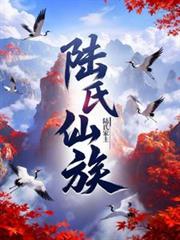 ����С˵:½������