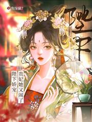 ����С˵:���½��裺������������