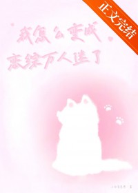 ����С˵:����ô���������������