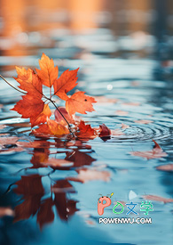 ����С˵:����е�������