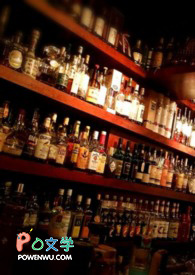 ����С˵:Shadow