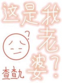 ����С˵:����������