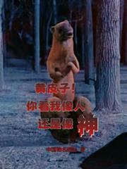 ����С˵:��Ƥ�ӣ��㿴�����˻�������