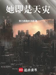 ����С˵:����������