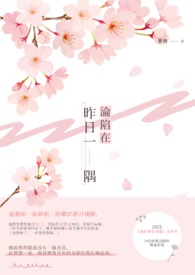 ����С˵:����������һ��