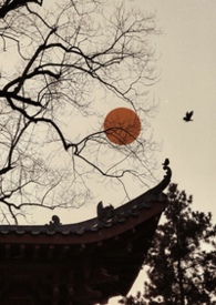 ����С˵:ȸ�����ǿƣ�