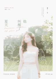 ����С˵:������������