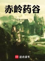 ����С˵:ҽ����