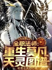 ����С˵:ȫְ��ʦ����ħ��֣������˼䣡