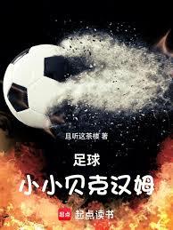 ����С˵:����СС���˺�ķ