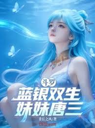 ����С˵:���ޣ�����˫��������������