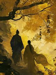 ����С˵:���{֮��