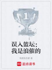 ����С˵:��;��ҫ���買���