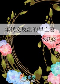 ����С˵:����ķ��ɵ�������