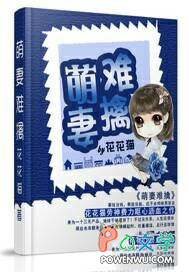 ����С˵:��������