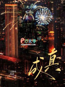 ����С˵:����