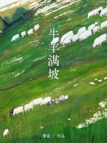 ����С˵:ţ������