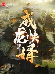 ����С˵:��������