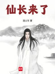 ����С˵:�ɳ�����