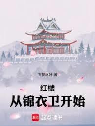 ����С˵:��¥�ӽ�������ʼ