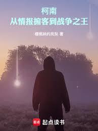 ����С˵:���ϣ����鱨��͵�ս��֮��