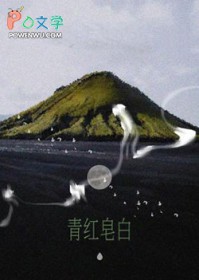 ����С˵:�������