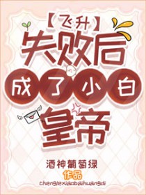 ����С˵:����ʧ�ܺ����С�׻ʵ�