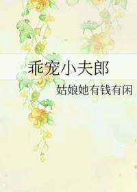 ����С˵:�Գ�С����