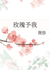 ����С˵:õ������