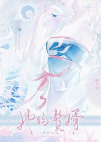 ����С˵:����׸��