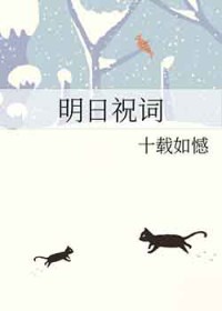 �ƻ�С˵:����ף��