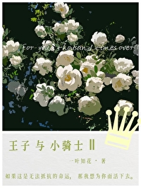 ����С˵:���������һ�����С��ʿ����