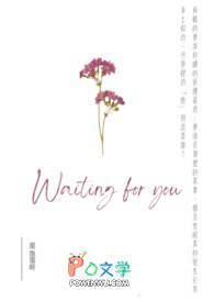 ����С˵:���꣬�d�ӻ���