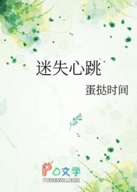 ����С˵:��ʧ����