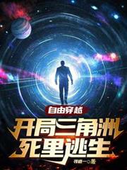 ����С˵:���ɴ�Խ��������������������