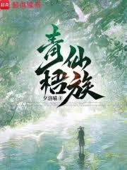 ����С˵:��������