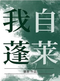 ����С˵:��������