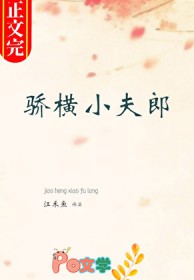 ����С˵:���������Ľ���С����