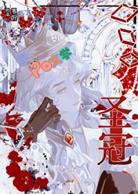 ����С˵:ʥ��