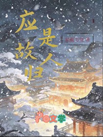 ����С˵:Ӧ�ǹ��˹�