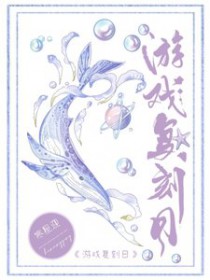 ����С˵:��Ϸ������