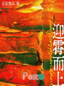 ����С˵:ӭ������